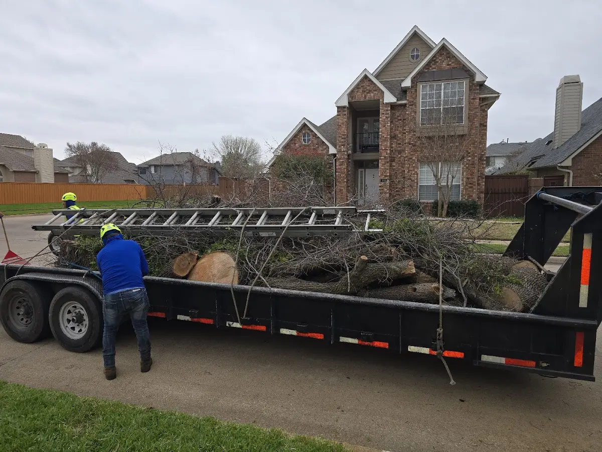 Expert Deadwooding with proper safety equipment in Brownsboro